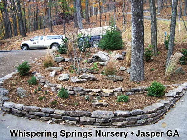 Terrace with Boulders - Design by Whispering Springs Nursery